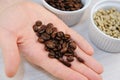 Roasted and green unroasted coffee in bowls. Freshly roasted coffee beans on the palm closeup Royalty Free Stock Photo