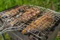 Roasted on grill fresh fish. Carp baked on BBQ Royalty Free Stock Photo