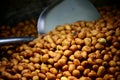 Roasted ground nuts Royalty Free Stock Photo