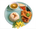 Roasted Hainanese Chicken Rice Royalty Free Stock Photo