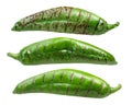 Roasted hatch green chiles Royalty Free Stock Photo