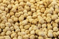Roasted Hazelnut Nuts. Organic healthy food. Close-up.