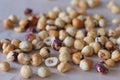 Roasted hazelnuts in a rustic scatter featuring whole and split filbert kernels with natural skin Royalty Free Stock Photo
