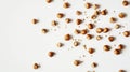 Roasted Hazelnuts Scattered on White Background Royalty Free Stock Photo