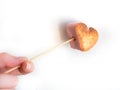 Roasted heart form marshmallows on a skewer in female hand on white background Royalty Free Stock Photo