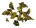 Roasted kale chips isolated on white background Royalty Free Stock Photo