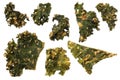 Roasted kale chips isolated on white background Royalty Free Stock Photo