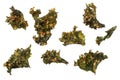 Roasted kale chips isolated on white background Royalty Free Stock Photo