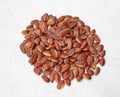 Roasted kayu seeds on white background Irvingia malayana benn