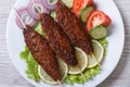 Roasted kebabs on a plate with vegetables. top view