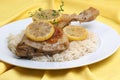 Roasted lemon chicken on some rice Royalty Free Stock Photo