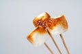 Roasted Marshmallow on a stick, isolated on a white background. Royalty Free Stock Photo