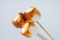 Roasted Marshmallow on a stick, isolated on a white background. Royalty Free Stock Photo