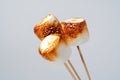 Roasted Marshmallow on a stick,  on a white background. Royalty Free Stock Photo