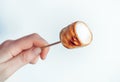 Roasted marshmallows on a skewer in female hand on white background Royalty Free Stock Photo