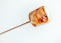 Roasted marshmallows on a skewer in female hand on white background Royalty Free Stock Photo