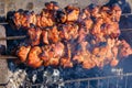 Roasted meat cooked at barbecue, closeup. Spicy marinated meat cook on bbq grill. Pork meat, shashlik, prepared on grill Royalty Free Stock Photo