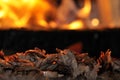 Roasted meat - Turkish doner kebab Royalty Free Stock Photo