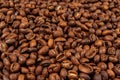 Roasted mocha coffee beans background. Mocha - sort of arabica