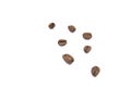 Roasted Mocha Coffee Beans close-up photo Royalty Free Stock Photo
