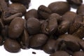 Roasted Mocha Coffee Beans close-up photo