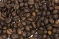 Roasted Mocha Coffee Beans close-up photo