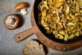 Roasted mushrooms champignons Royalty Free Stock Photo
