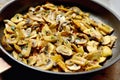 Roasted mushrooms champignons Royalty Free Stock Photo