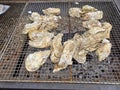 Grilled oyster seafood Japanese cuisine food Royalty Free Stock Photo