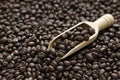 Roasted peaberry coffee beans Royalty Free Stock Photo