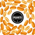 Roasted Peanut nut seed. Peanuts seamless pattern. Royalty Free Stock Photo