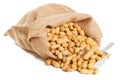 Roasted peanuts Royalty Free Stock Photo