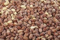 Roasted peanuts background. Seamless pattern of roasted salted peanuts. Close-up. View from above Royalty Free Stock Photo