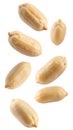 Roasted Peanuts Isolated on Transparent Background Royalty Free Stock Photo