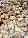 Roasted peanuts with natural brown shells, captured in a close-up view Royalty Free Stock Photo