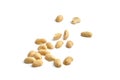 Roasted peanuts, salted beer snack, group, isolated Royalty Free Stock Photo