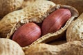 Roasted peanuts salted, in shell i Royalty Free Stock Photo