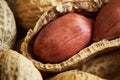 Roasted peanuts salted, in shell i Royalty Free Stock Photo