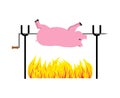 Roasted Pig on spit. Pork on fire. Vector illustration Royalty Free Stock Photo