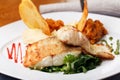 Roasted pikeperch fillet Royalty Free Stock Photo