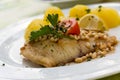 Roasted pikeperch fillet with boiled potatoes Royalty Free Stock Photo