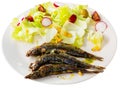 Roasted pilchards with vegetable salad Royalty Free Stock Photo