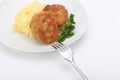 Roasted pork,beef cutlets and mashed potatoes Royalty Free Stock Photo