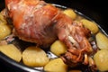 Roasted pork meat with potatoes Royalty Free Stock Photo