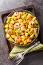 Roasted potatoes with garlic, herbs and shrimp close-up in a plate. Vertical top view Royalty Free Stock Photo