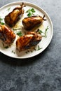 Roasted quails on white plate Royalty Free Stock Photo