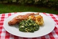 Roasted rabbit leg, dish from cuisine of Czech republic. Royalty Free Stock Photo