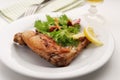 Roasted rabbit leg with salad Royalty Free Stock Photo