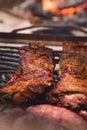 Roasted red meat over the grill in a traditional Argentinian asado. Close up detail