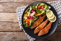 Roasted red mullet with fresh vegetables and lemon close-up. horizontal top view Royalty Free Stock Photo